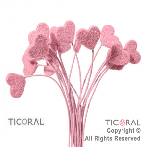 MICROFORMA CORAZON ROSA GIBRE TELGO x 18